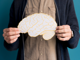 epilepsia, dianas cerebrales, redes cerebrales